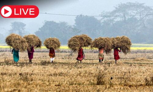 Aaj ki Taaza Khabar: मिडिल ईस्ट जंग की वजह से देश में बढ़ रहा है खाद का संकट, मुश्किल हो सकता है किसानों के लिए आने वाला वक्त